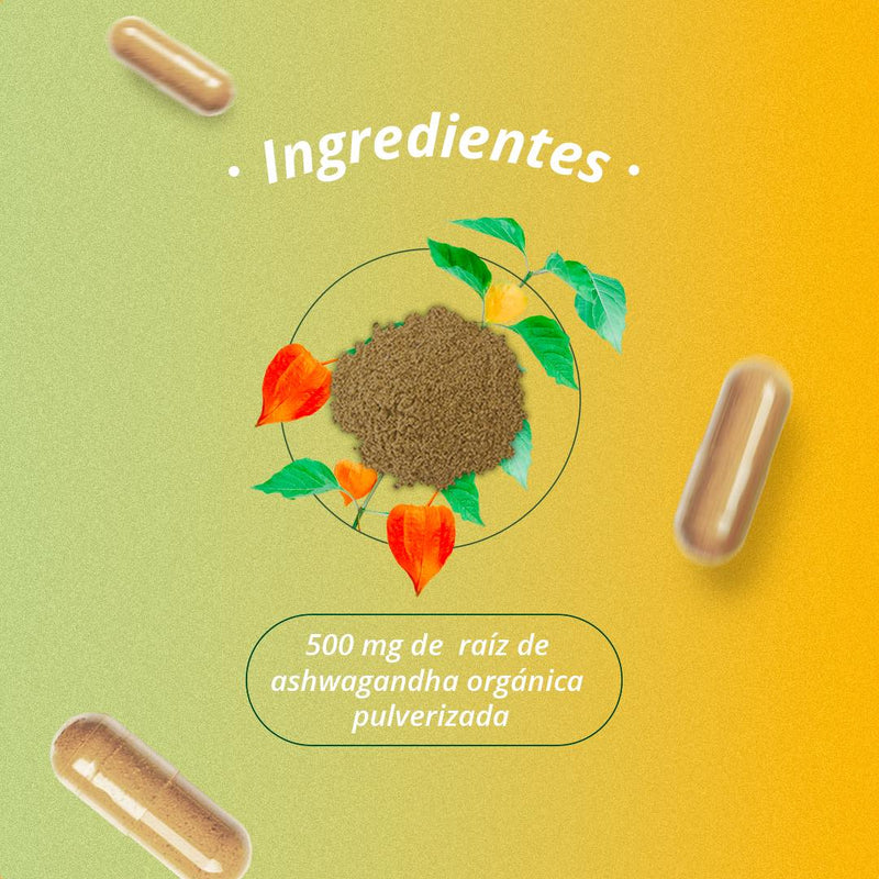 🍃 2X1 Ashwagandha - Multivitaminas 💯