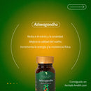 🍃 Ashwagandha - Multivitaminas 💯