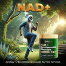 🔥 Reus Research NAD+ | Energía ⚡ Juventud 🛡️ Claridad Mental 🧠