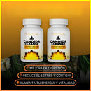 🌿 CANDIDA CLEANSE ORIGINAL | Detox Natural para Tu Intestino, Energía y Bienestar Total ✨